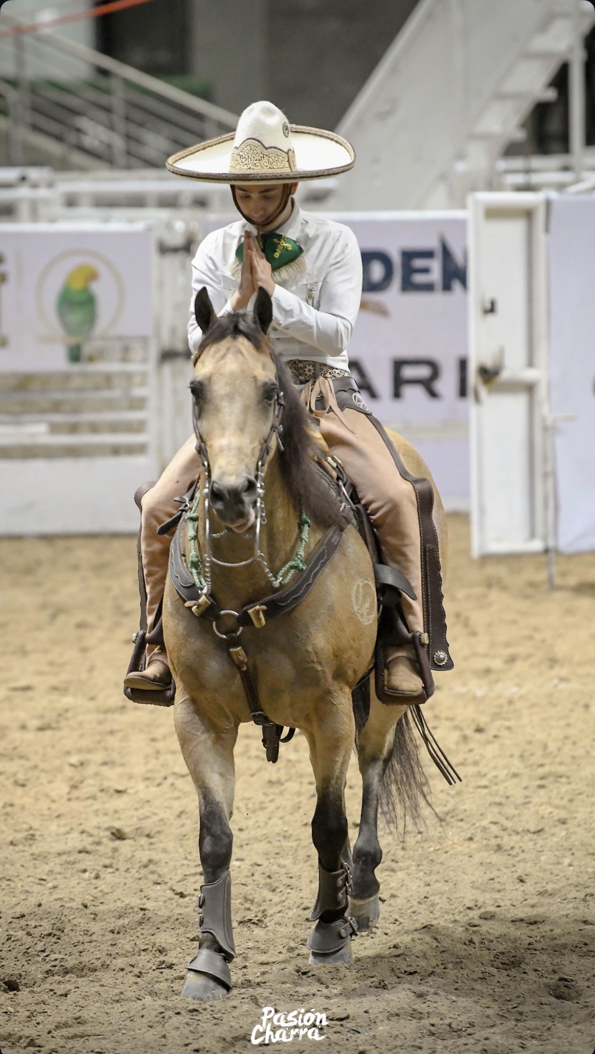 Nuestra historia Casa Guadalupe